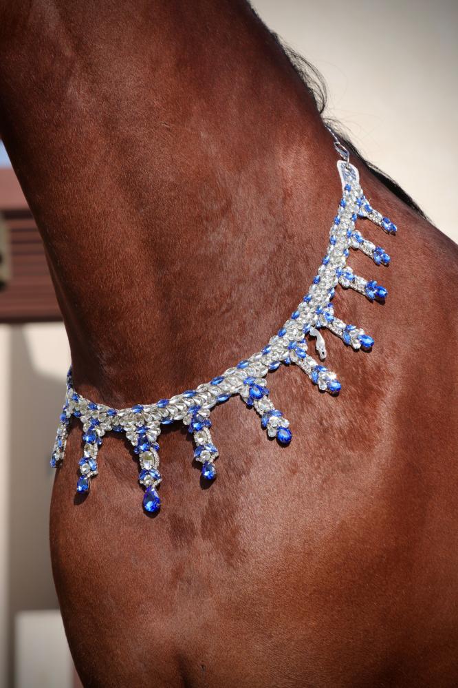 اكسسوار خيل E75