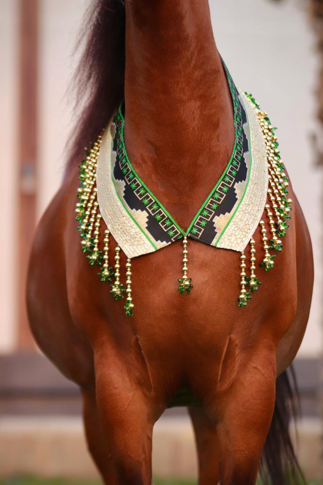 اكسسوار خيل E41