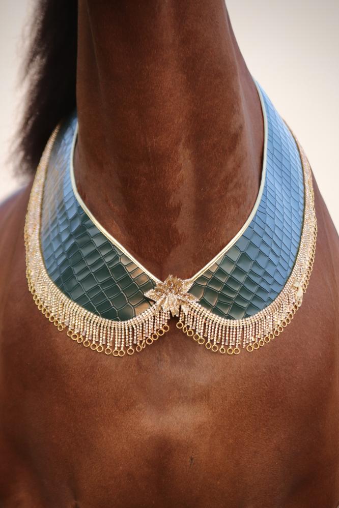 اكسسوار خيل E56