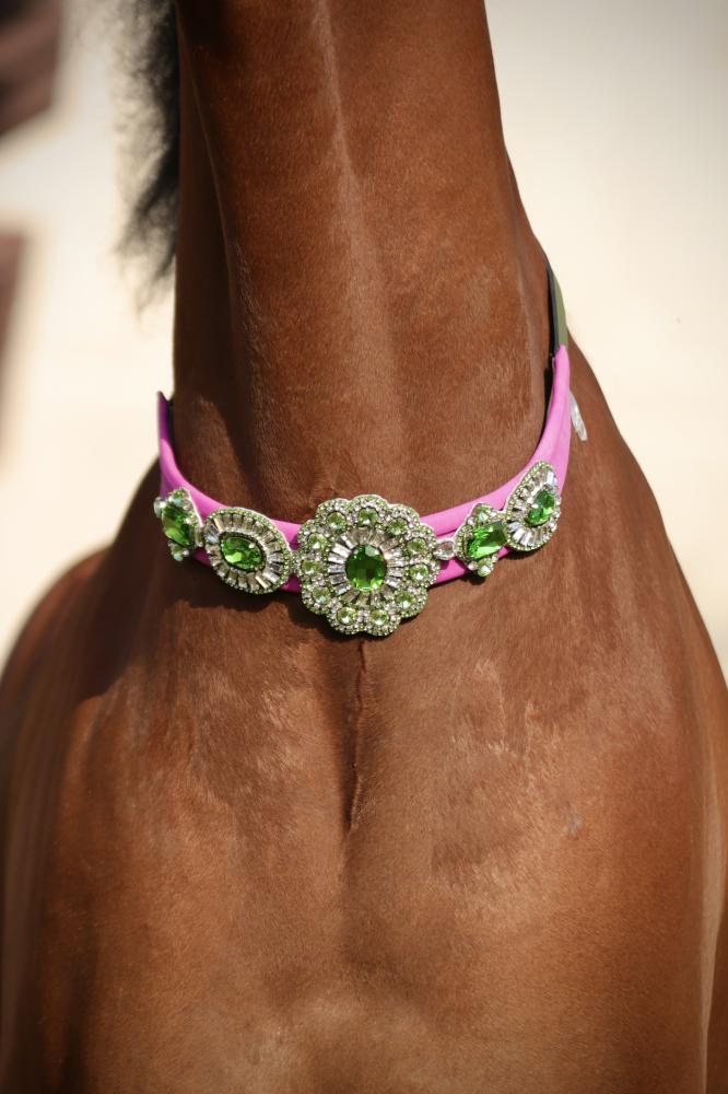 اكسسوار خيل E88