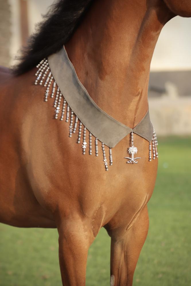 اكسسوار خيل E47 " مباعة - Sold Out "