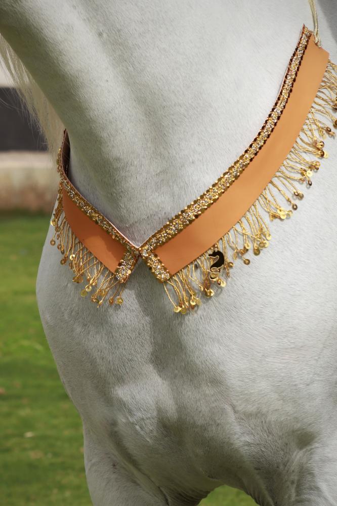 اكسسوار خيل E9 " مباعة - Sold Out "