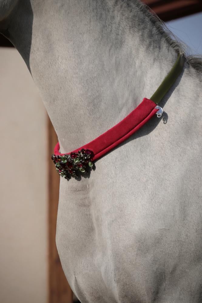 اكسسوار خيل E70