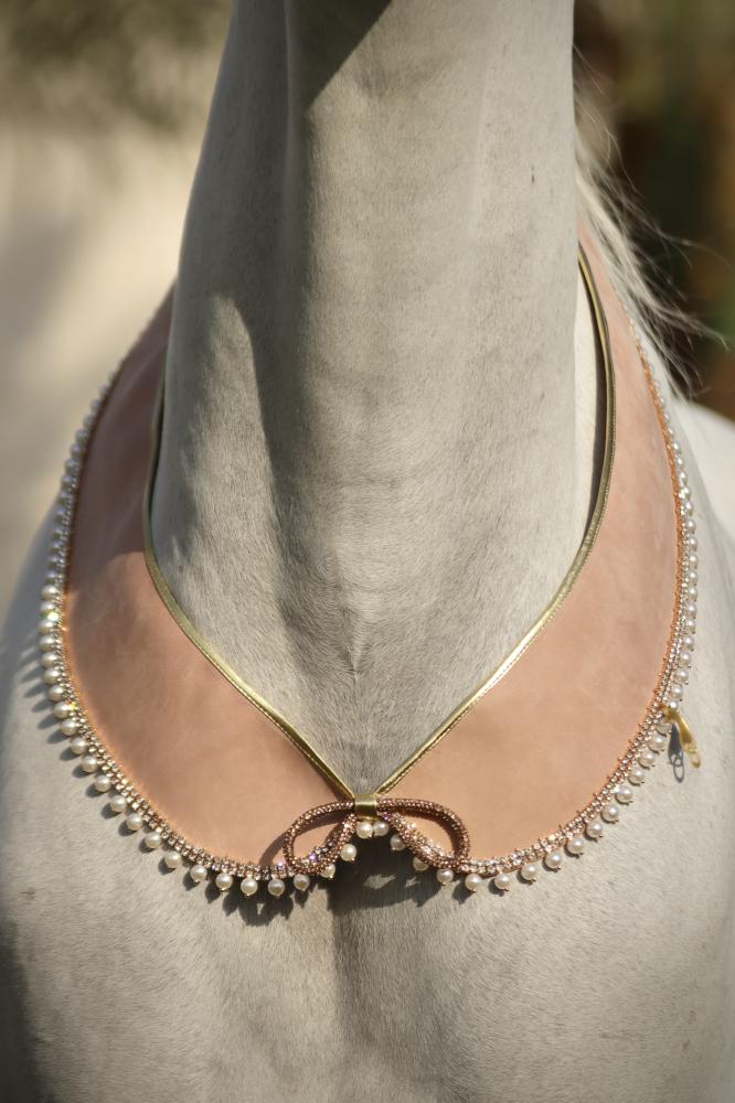 اكسسوار خيل E64