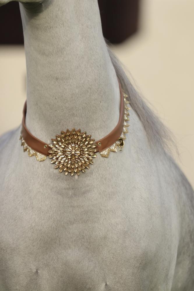 Horse accessory E37