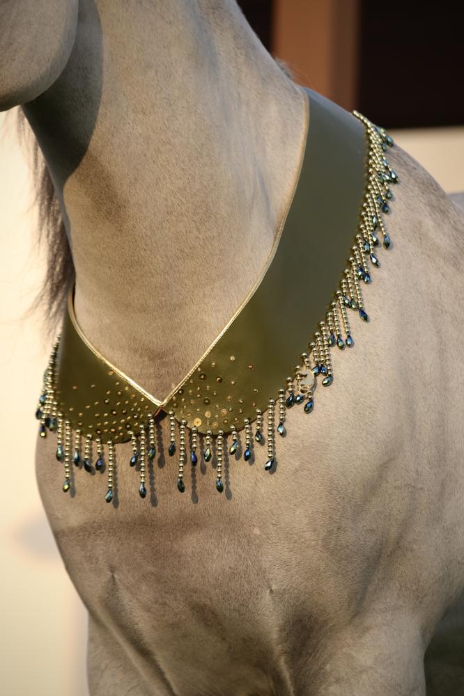 اكسسوار خيل E82
