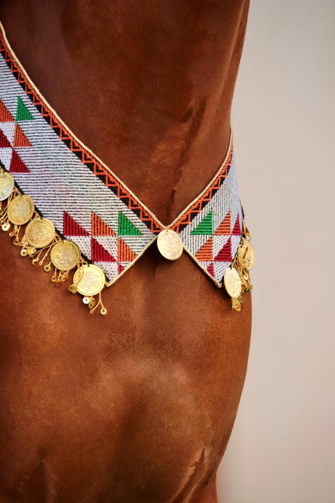 Horse accessory E12