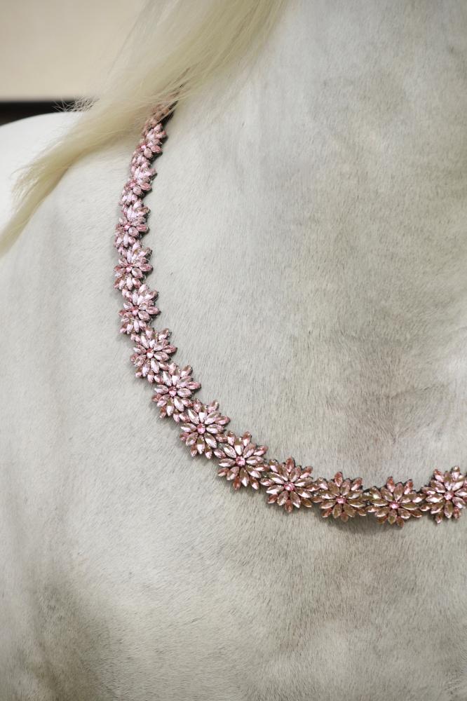 Horse accessory E20
