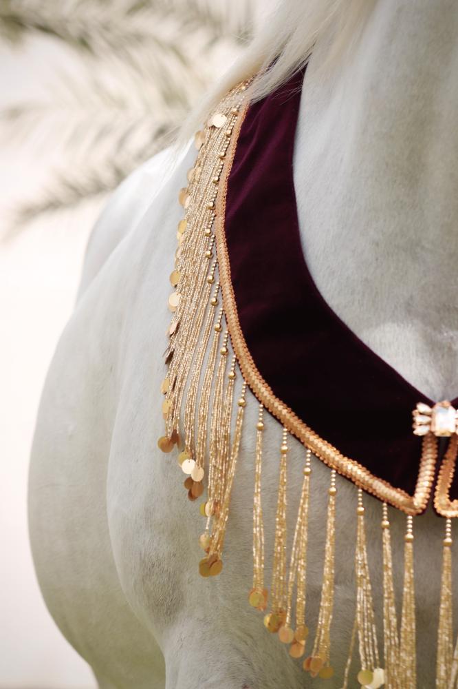 اكسسوار خيل E10