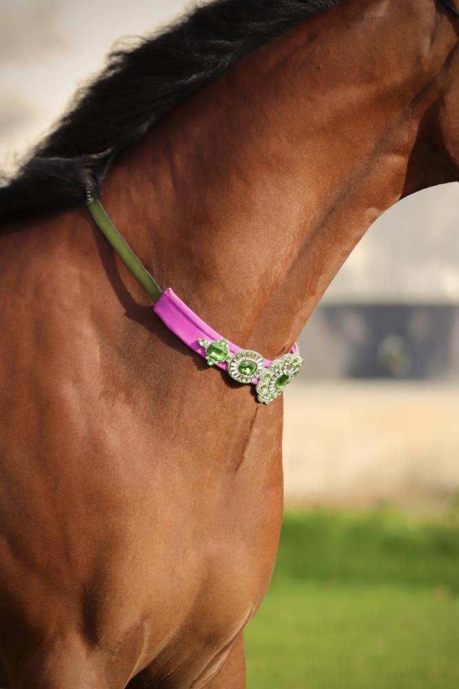 اكسسوار خيل E88