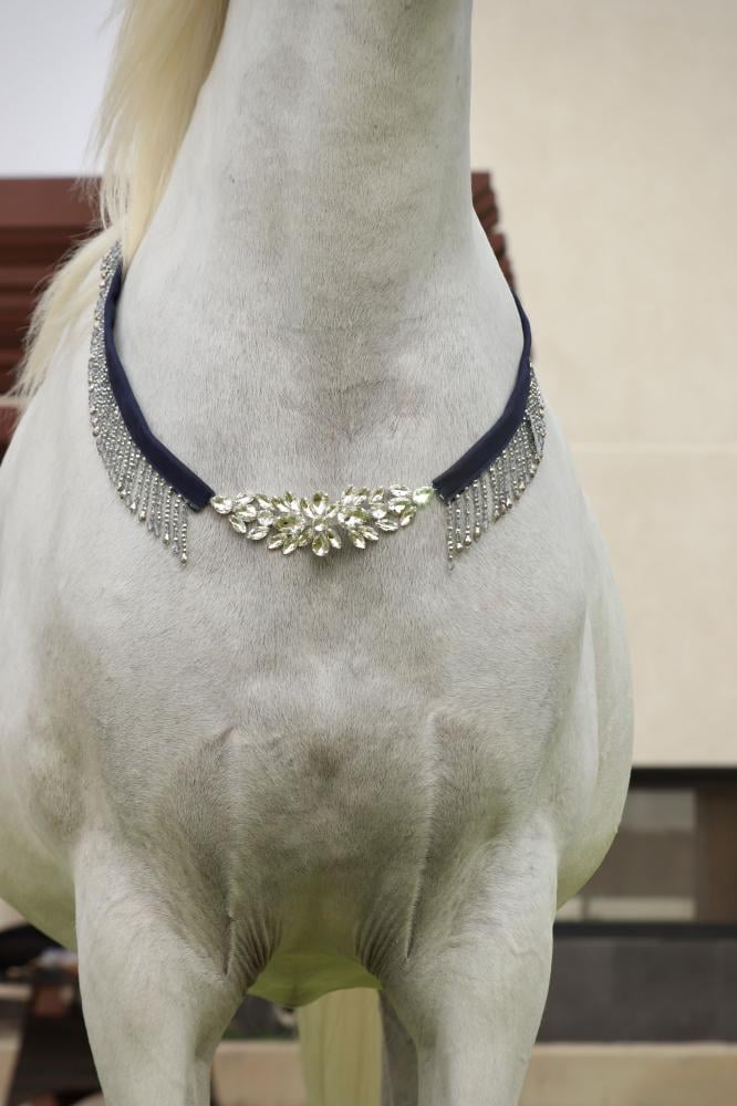 Horse accessory E18