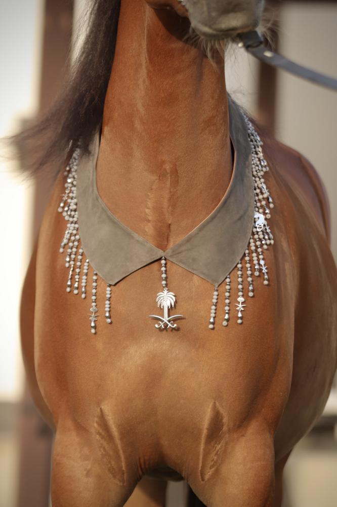 اكسسوار خيل E47 " مباعة - Sold Out "