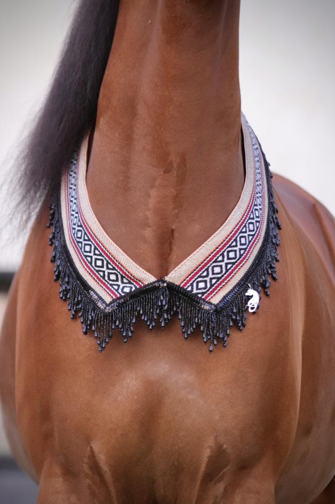 اكسسوار خيل E65