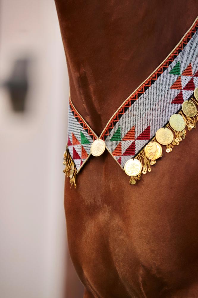 Horse accessory E12