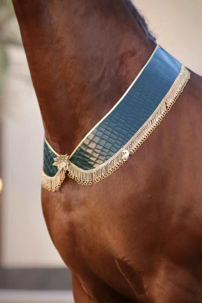 اكسسوار خيل E56