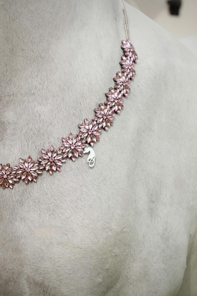 Horse accessory E20