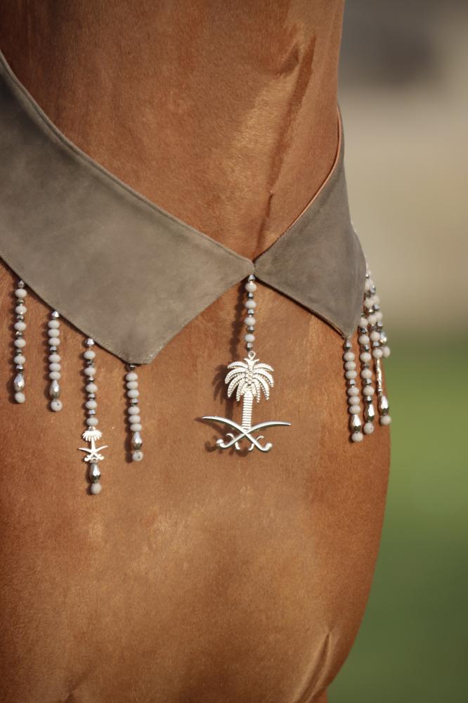 اكسسوار خيل E47 " مباعة - Sold Out "
