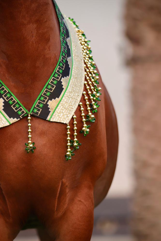 اكسسوار خيل E41