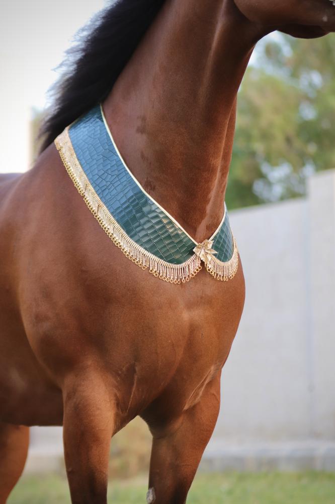 اكسسوار خيل E56