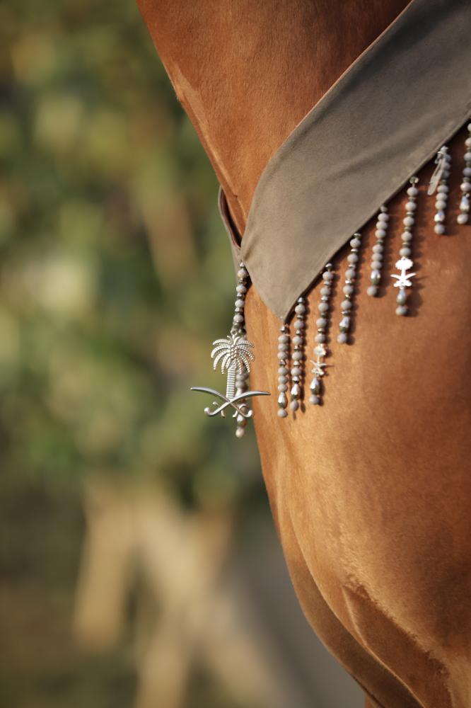 اكسسوار خيل E47 " مباعة - Sold Out "