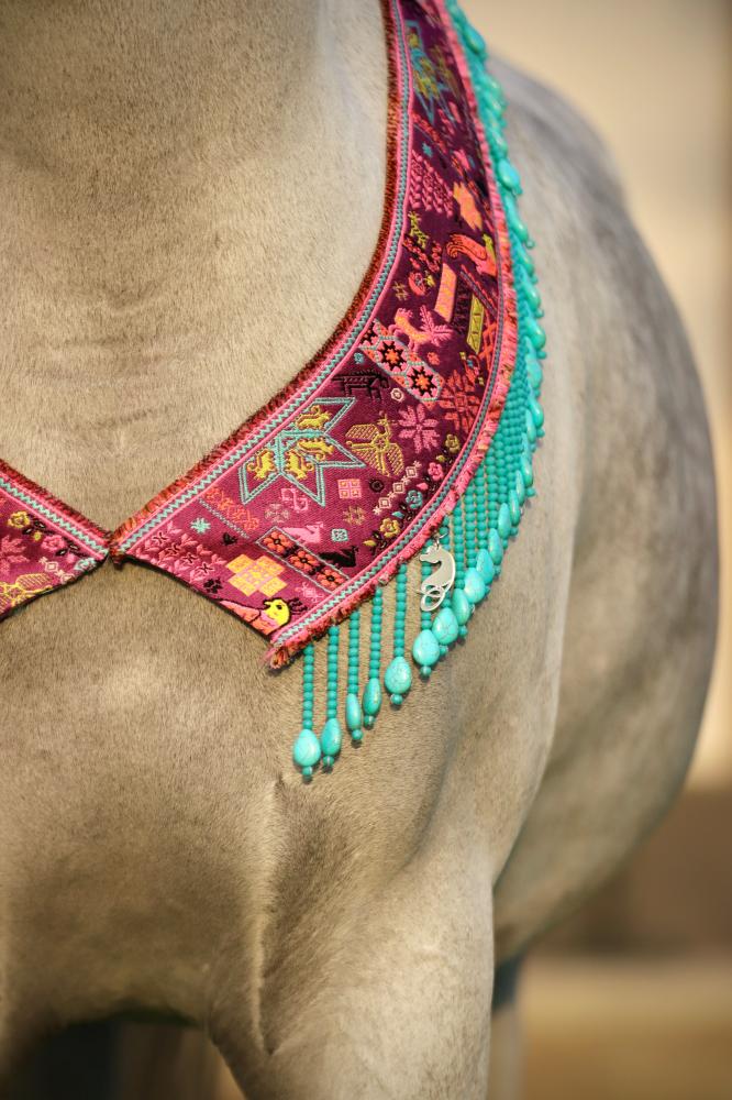 اكسسوار خيل E39