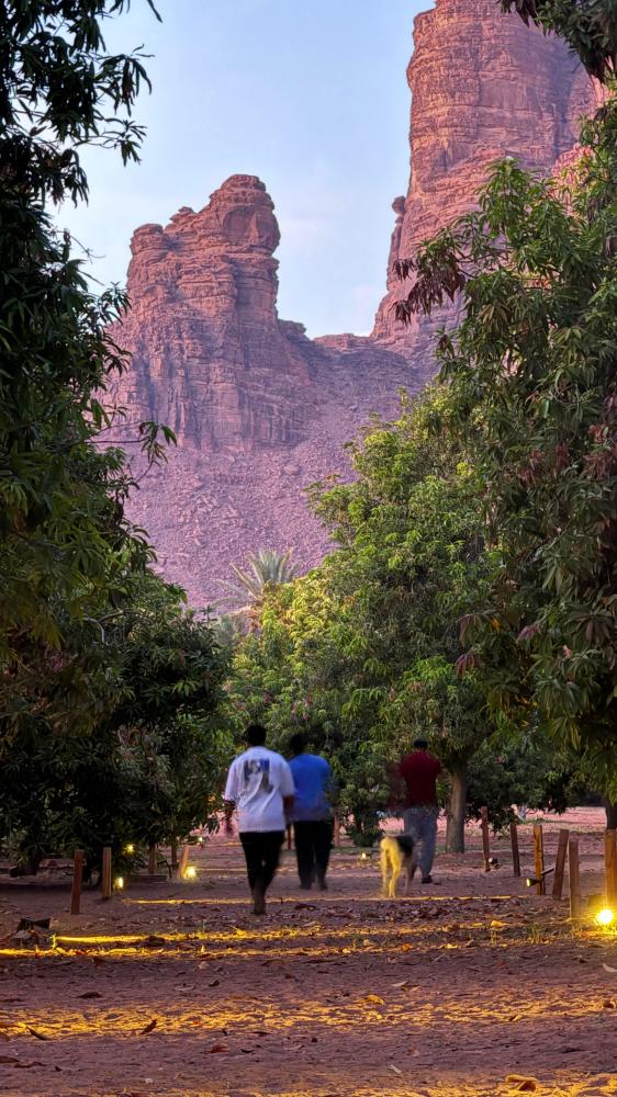 مغامرة وادي الديسة بالجيوب المكشوفة