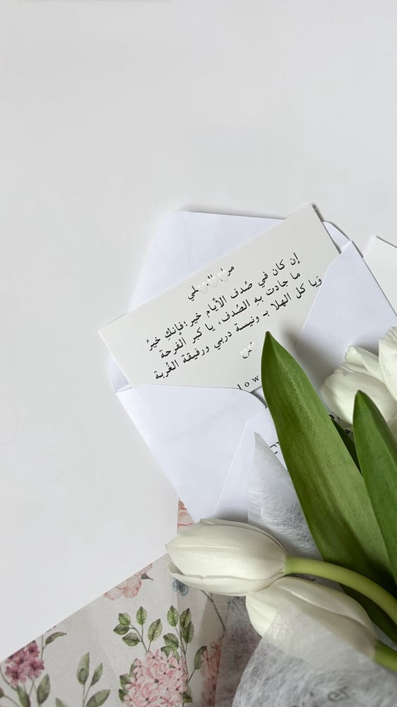 باقة التوليب الابيض
