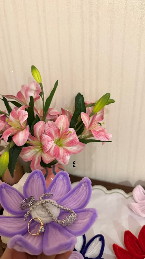 حامل الاكسسوارات