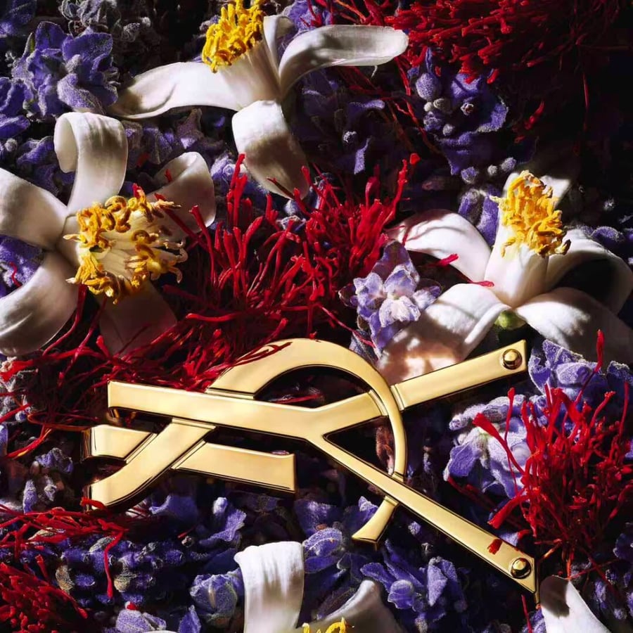 اف سان لوران ليبر لو بارفيوم-أطلبة الأن !