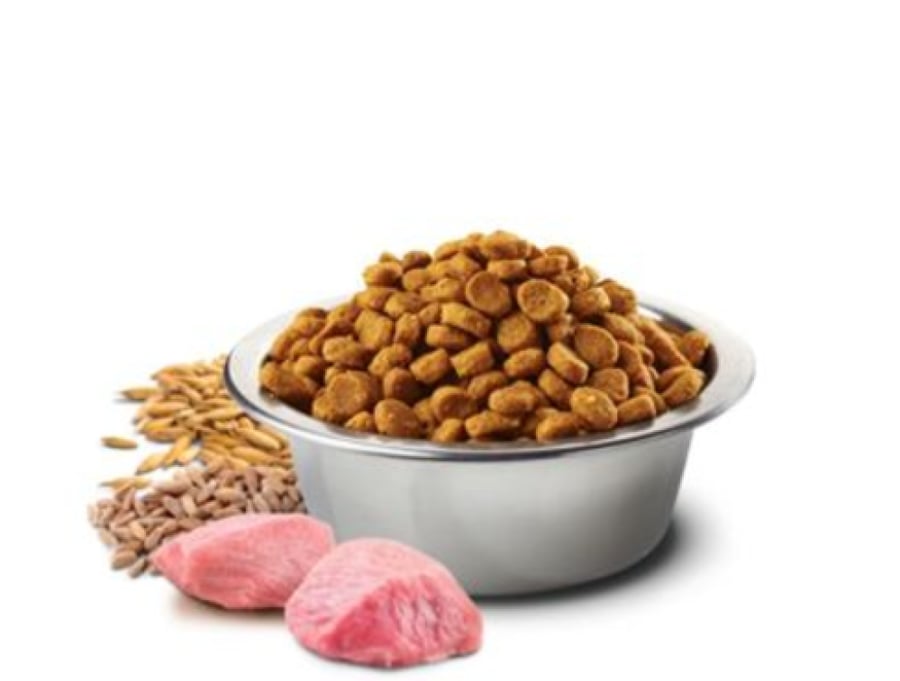 N&D فارمينا Tropical Selection دراي فود للقطط المعقمة دجاج وفواكه استوائية 300 جم