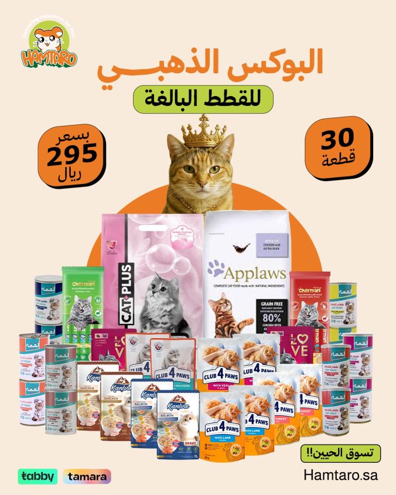 البوكس الذهبي للقطط البالغة