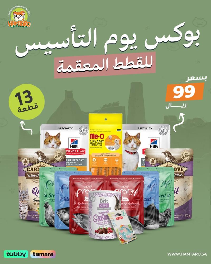 بوكس يوم التأسيس الاقتصادي للقطط المعقمة