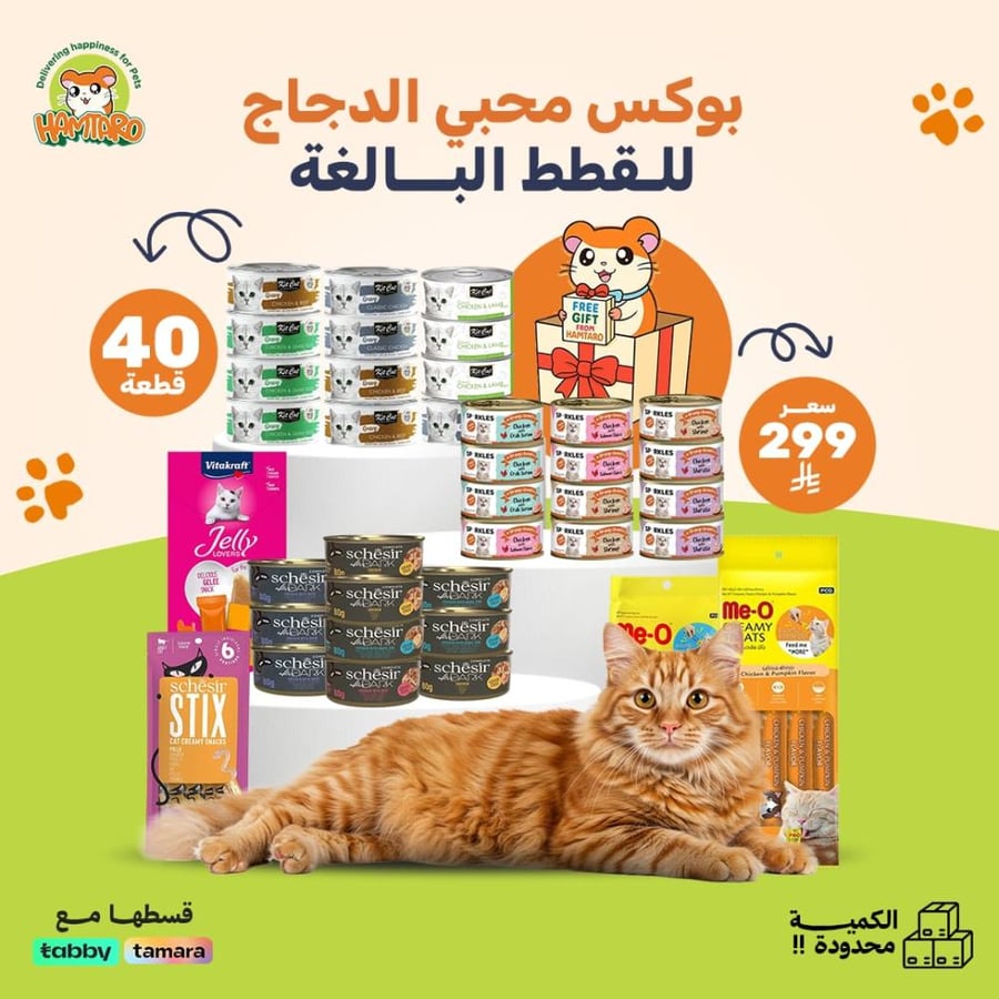 بوكس طعام القطط محبي الدجاج