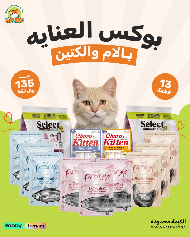 بوكس طعام القطط الأم وصغارها