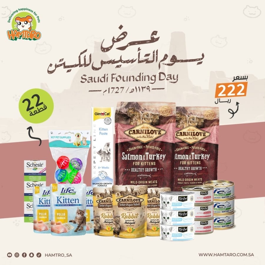 بوكس يوم التاسيس للقطط الصغيره
