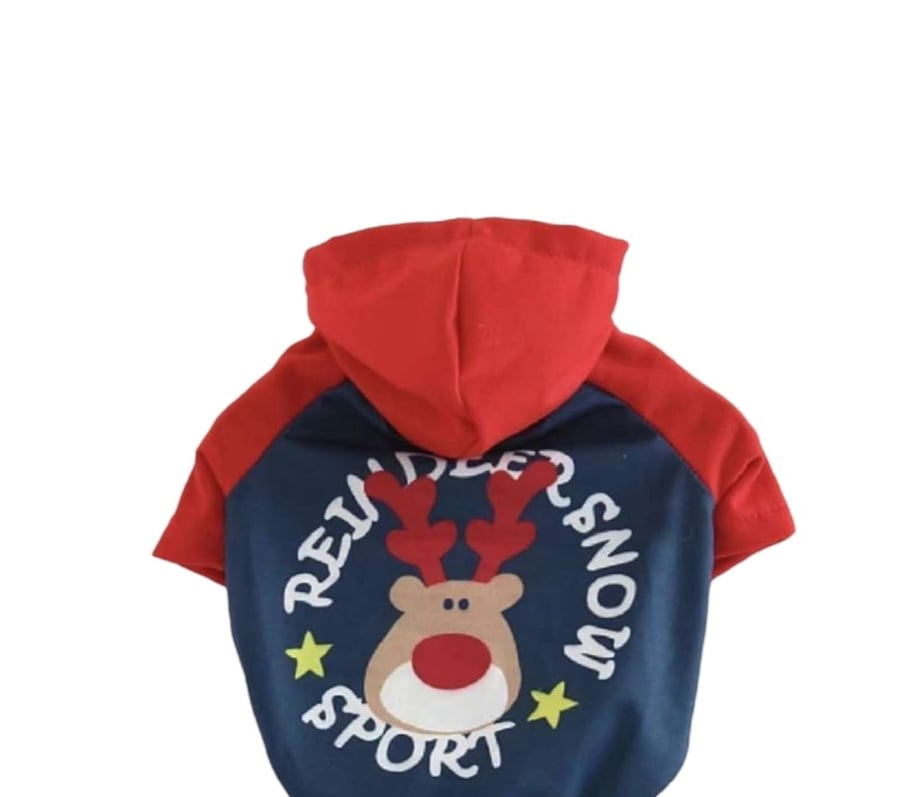 Cat and dog clothes drawn by a deer
