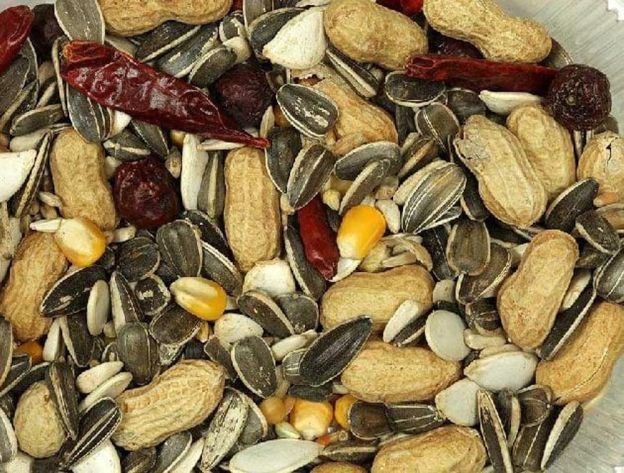 فينشي طعام طيور الببعاءات الكبيرة جراند باروت 1 كجم