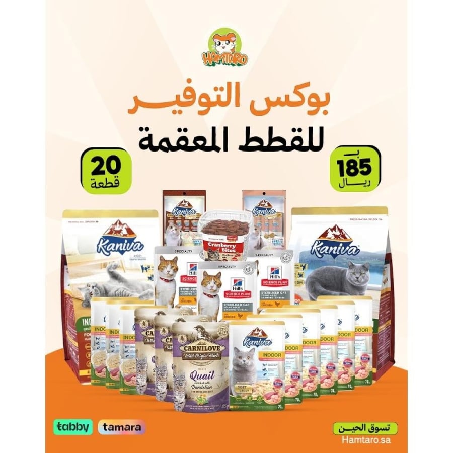 بوكس توفير القطط المعقمة