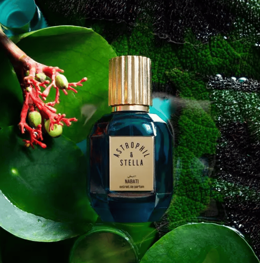 عطر أستروفيل اند ستيلا النبطي اكسترايت دي بارفيوم 50 مل