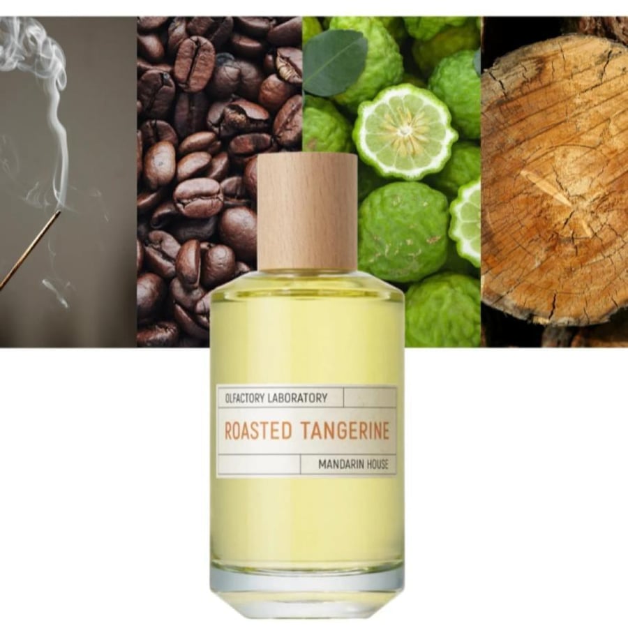عطر ليكويدز إيماجينيرز روستيد تانجرين أو دو بارفان 100 مل