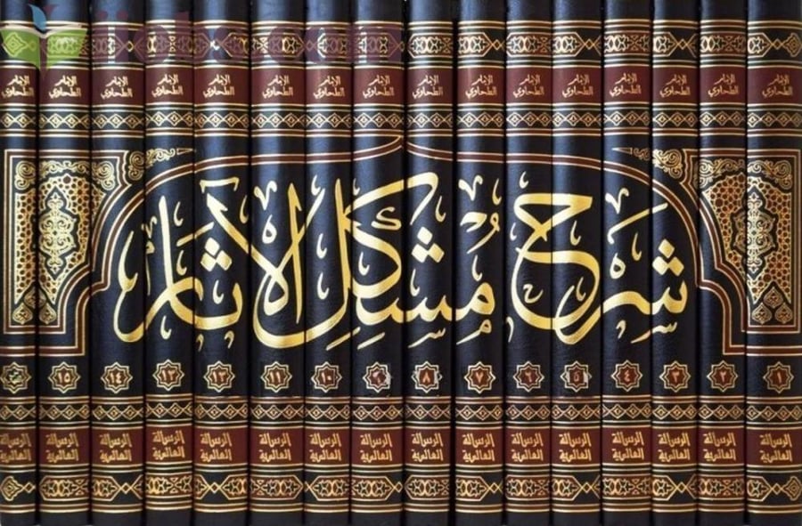 شرح مشكل الاثار 16/1