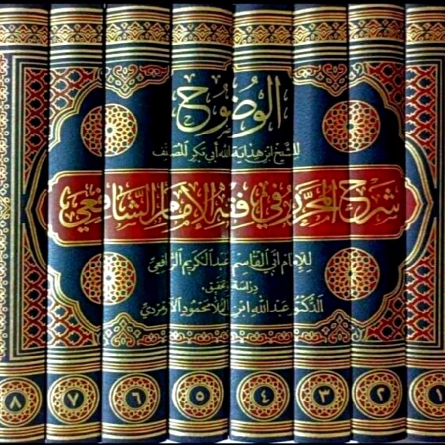 الوضوح شرح المحرر في فقه الامام الشافعي 8/1