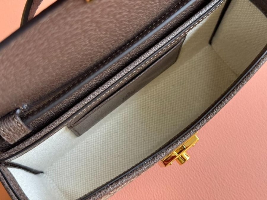 Gucci Ophidia Series Mini Handbag