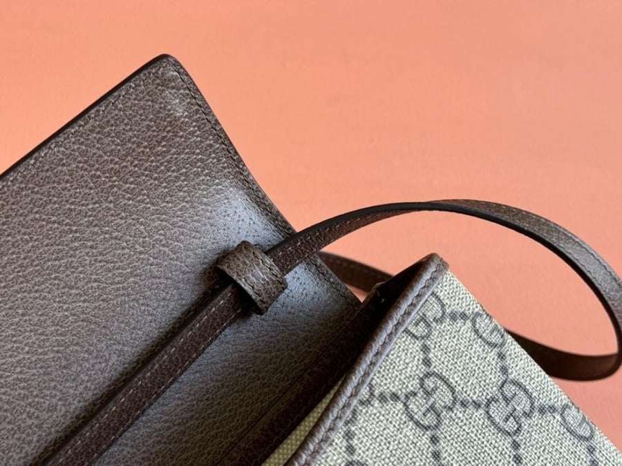 Gucci Ophidia Series Mini Handbag
