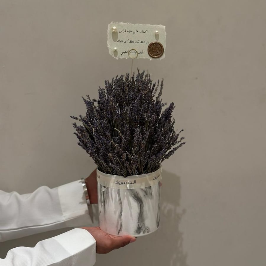 فازة لافندر