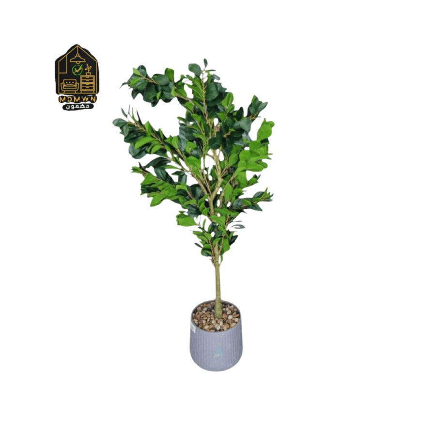 Artificial Lemon Leaf Tree 170cm