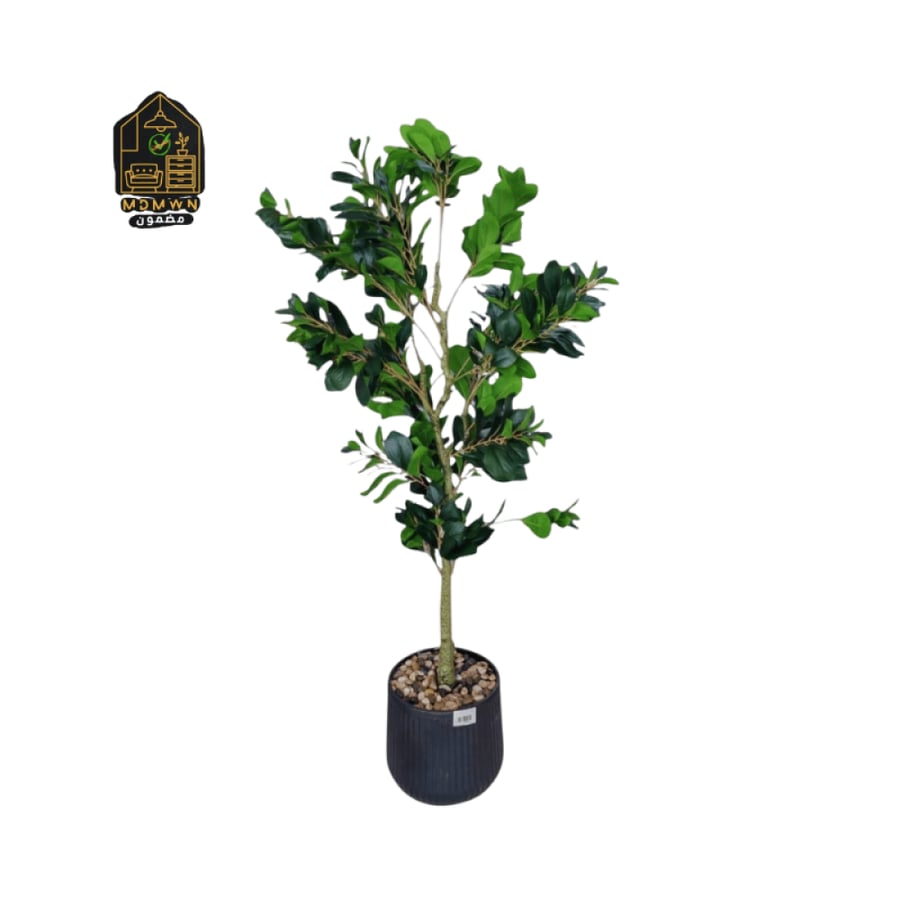Artificial Lemon Leaf Tree 170cm