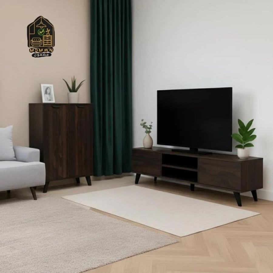 Modern TV table and shoe storage cabinet coordination set