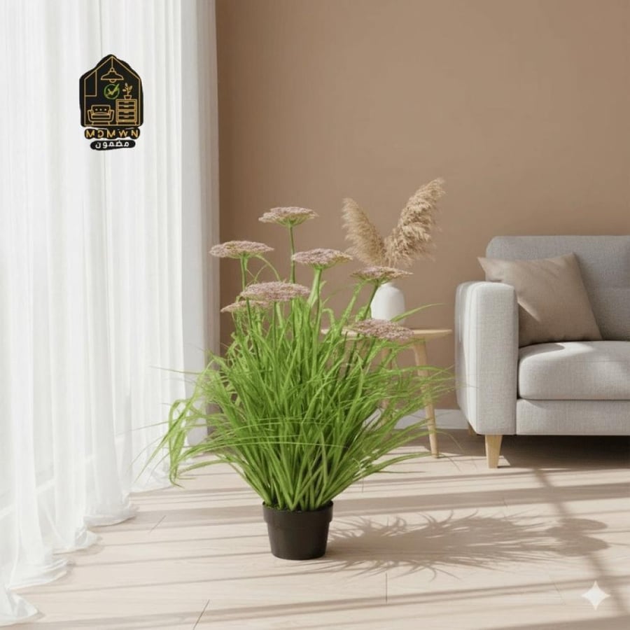 A plant that adds a touch of natural beauty with its variety of colors