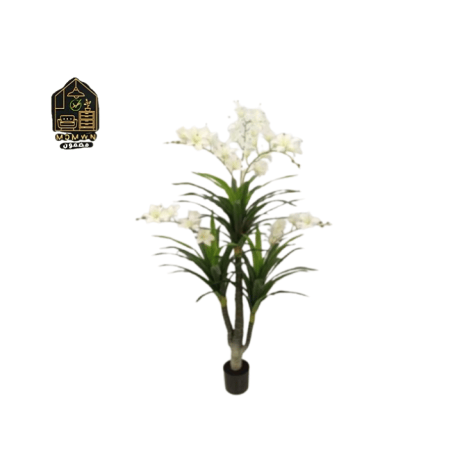 An elegant tree adorned with distinctive white flowers and glossy green leaves
